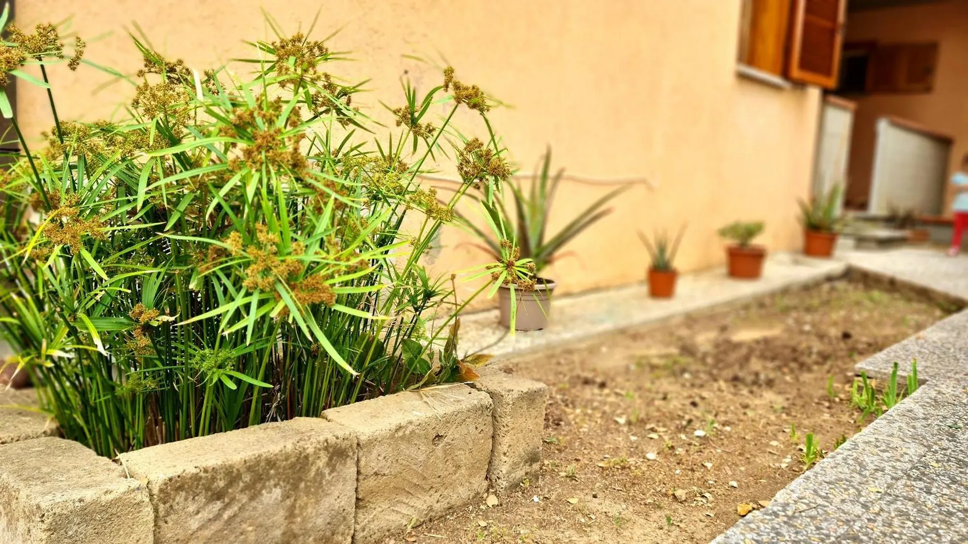 Apartment Appartamento Salvatore Porto Azzurro